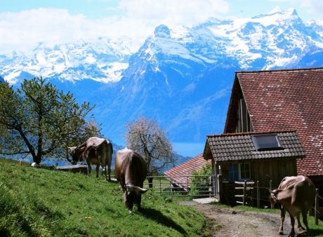 Schwyzer Panoramaweg | Kochen für Schlampen